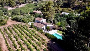 Viñedo con hileras de vides, un edificio blanco con techo rojo y una piscina.