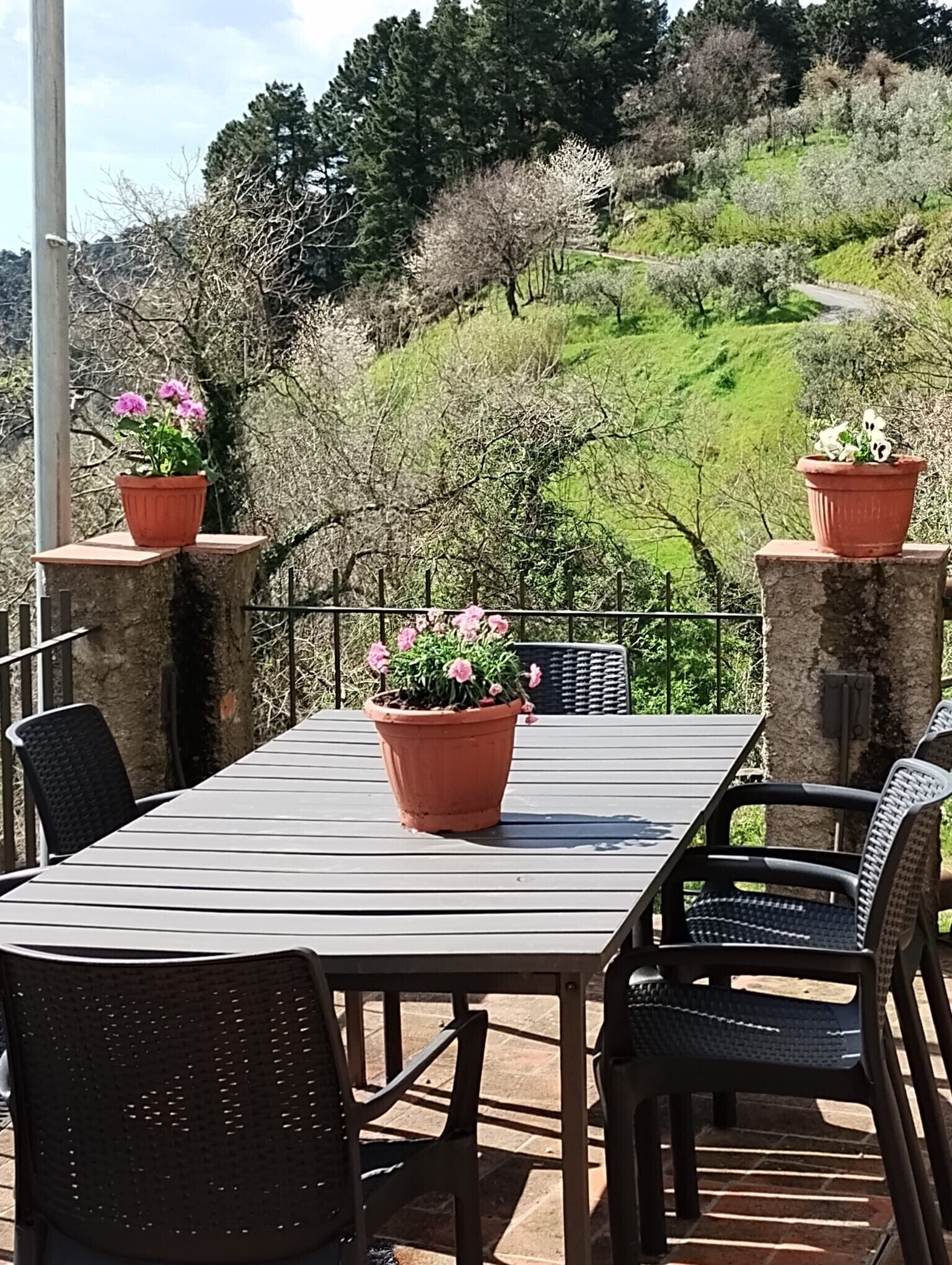 Eine Terrasse mit Tisch und Stühlen, umgeben von Steinpfeilern mit Kübelpflanzen.