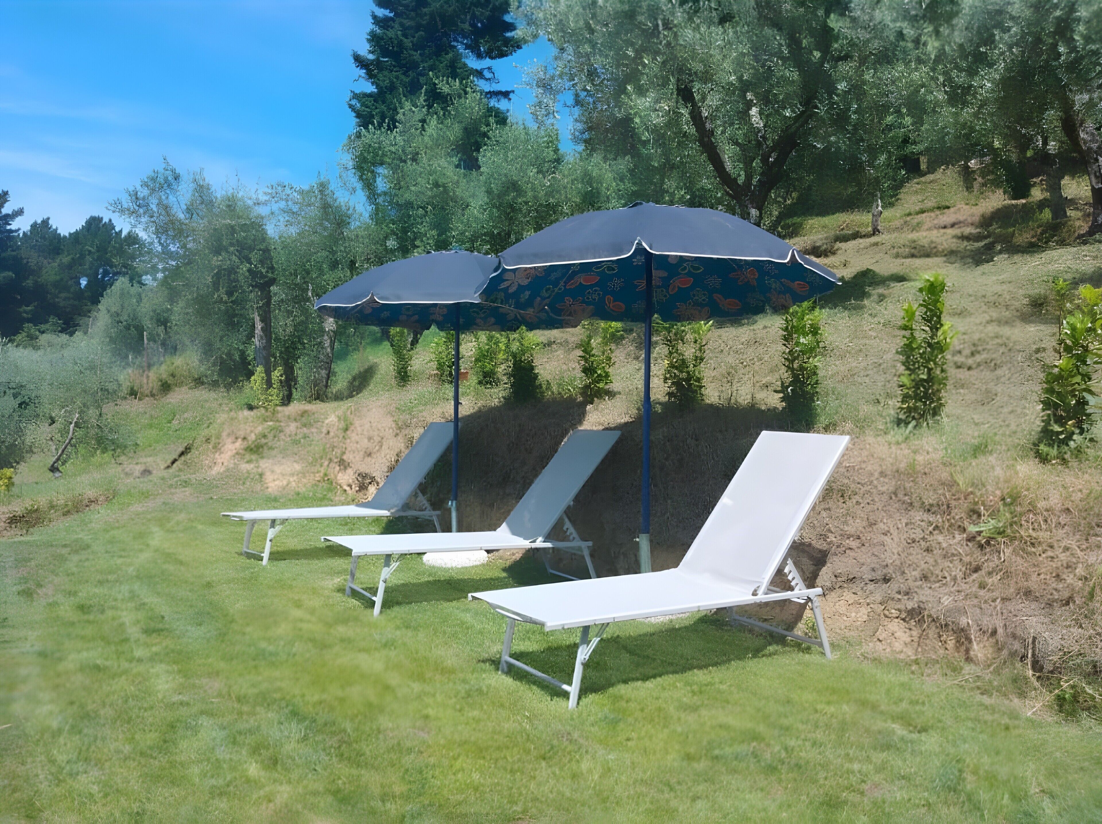 Parco della struttura