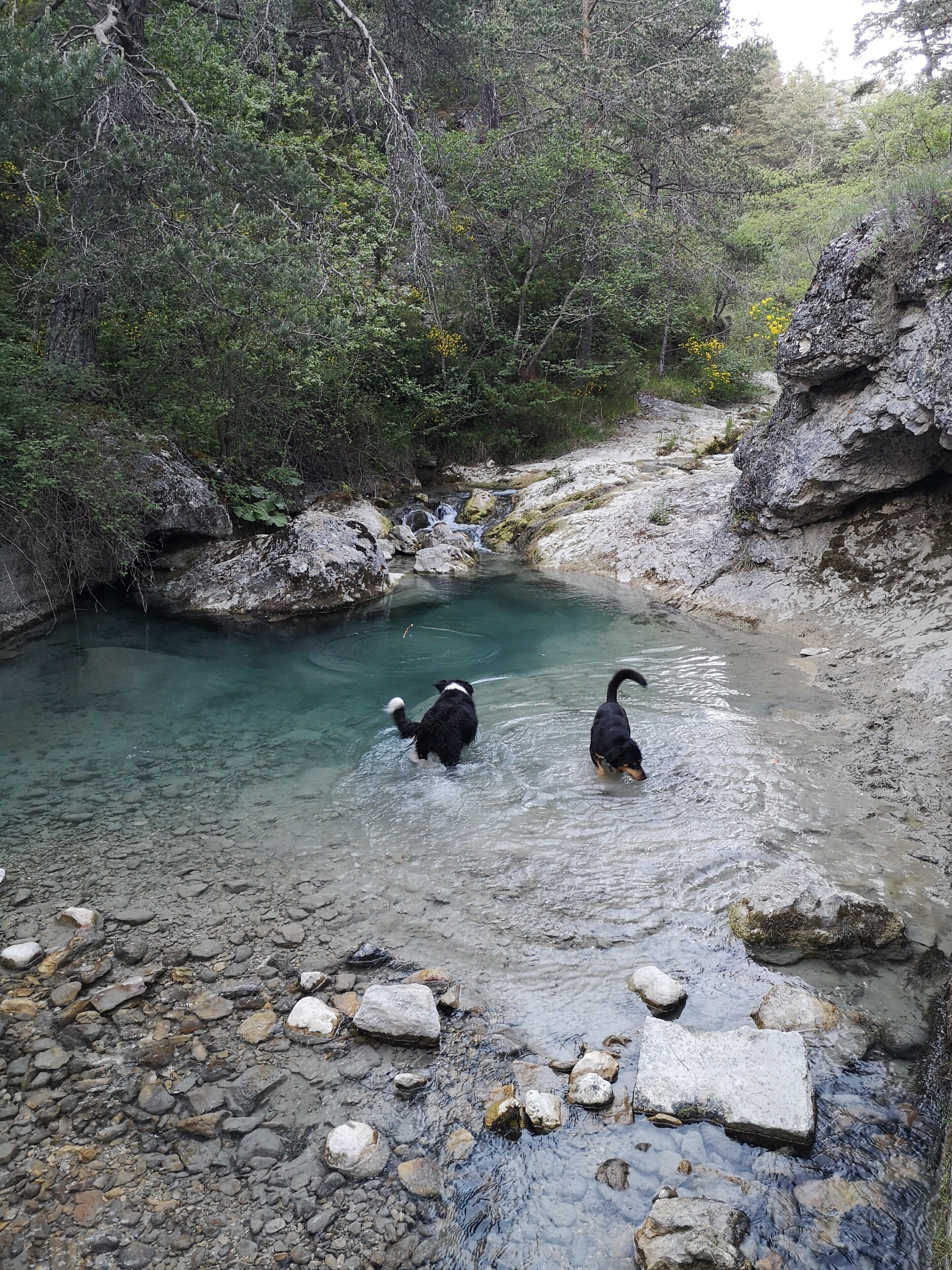 A natural water body surrounded by rocks and vegetation.