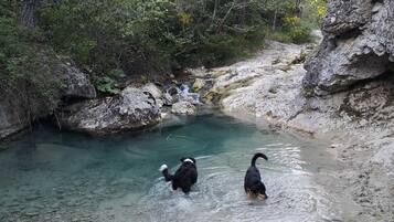A natural water body surrounded by rocks and vegetation.