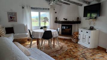 TV, fireplace