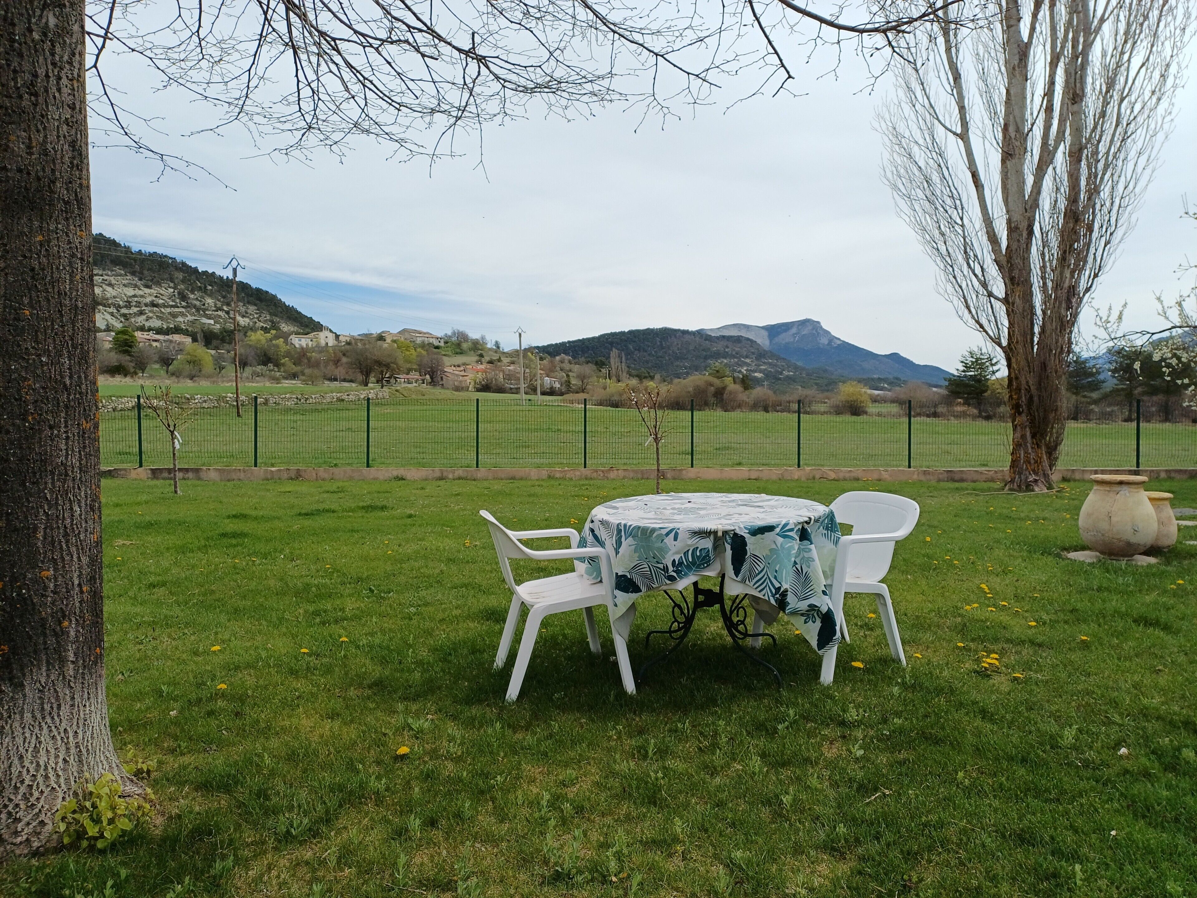 A grassy outdoor area with a table and chairs, a tree, and a view of a mountain range.