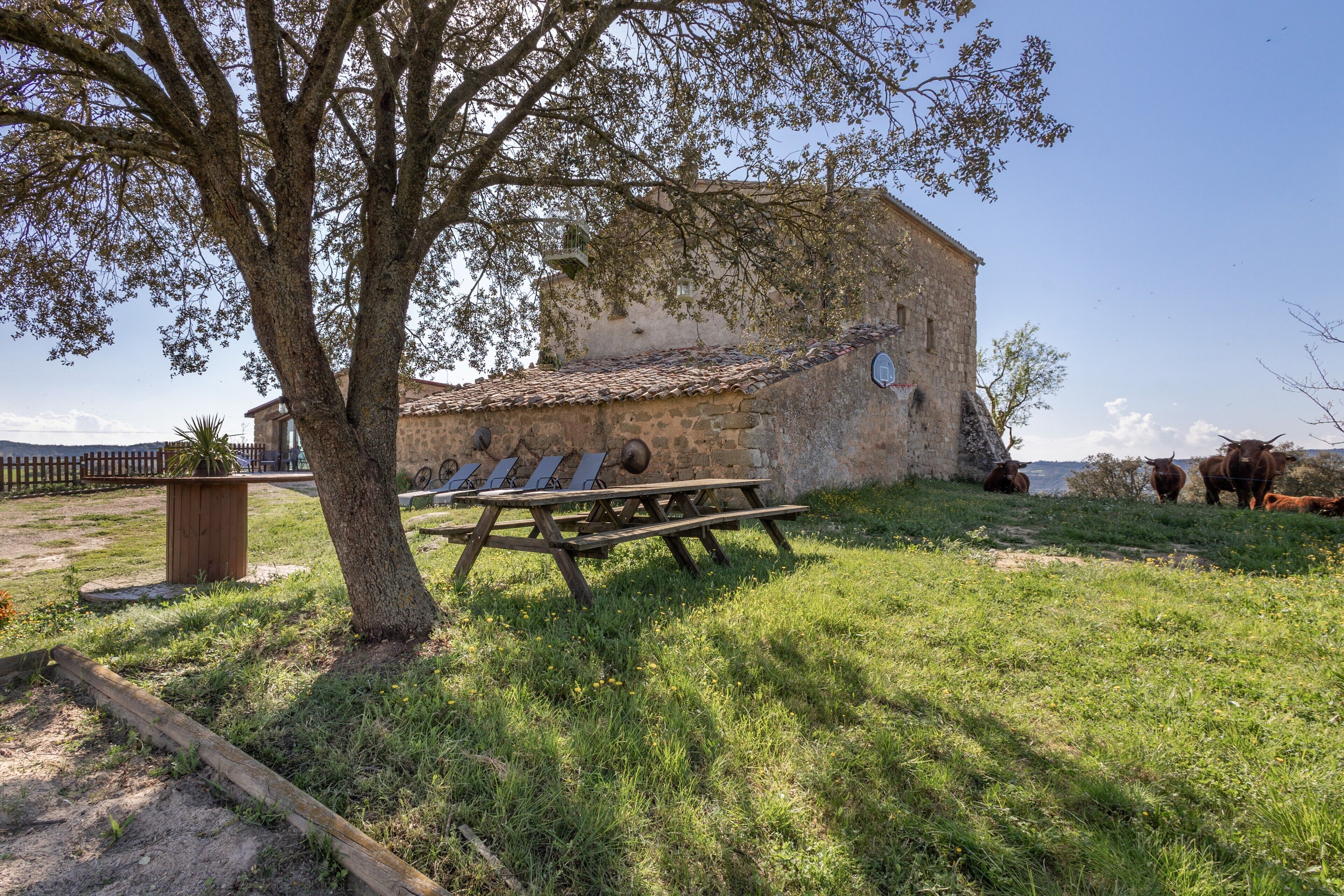 A stone building with a tiled roof, a picnic table, and a tree in a grassy area.