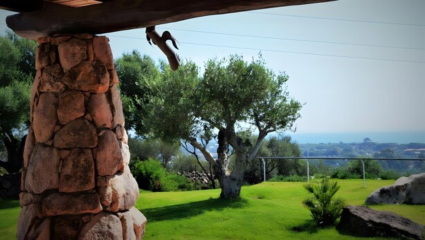 Un pilar de piedra, un árbol y una vista del paisaje.