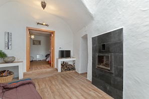 Un salon moderne avec une cheminée, un plancher en bois et un téléviseur posé sur un meuble.