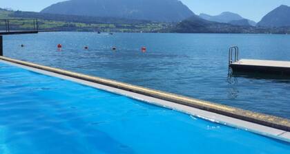 SwissHut Stunning Views Alps & Lake
