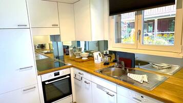 Fridge, oven, stovetop, dishwasher