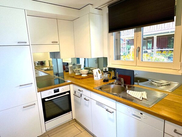 Fridge, oven, stovetop, dishwasher