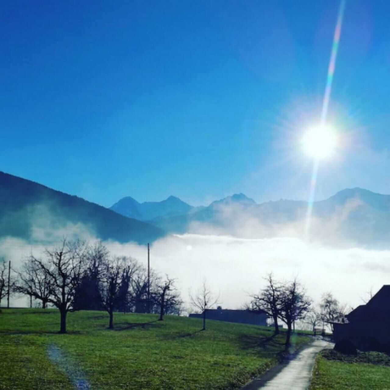 Helderblauwe lucht met een felle zon, een mistig berglandschap en een pad met bomen.