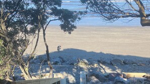 A wooden staircase leading to a beach with a view of the ocean. - Beach side home + Separate apartment Raumati South (Paraparaumu)