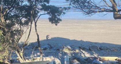 Beach side home + Separate apartment Raumati South