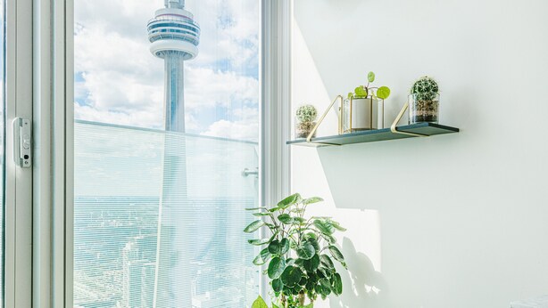 A room with a large window, a view of a tower, and a plant on the windowsill.