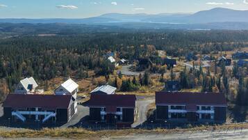 A residential area with houses, a road, and a forested landscape.