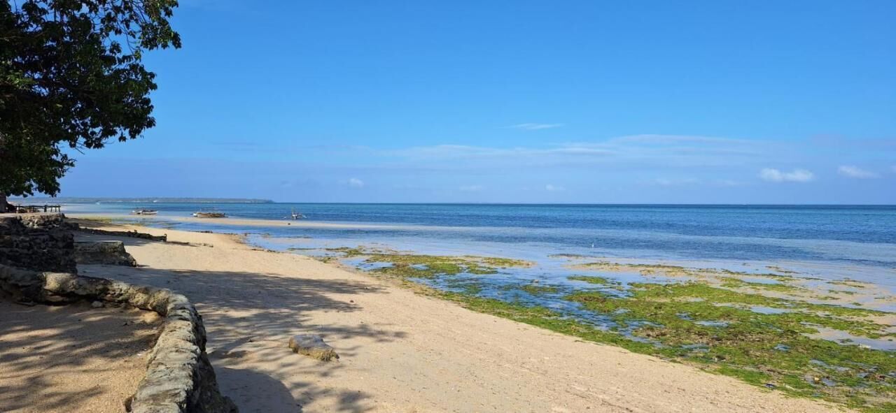 A beach with clear skies, calm waters, and a stone wall on the left.