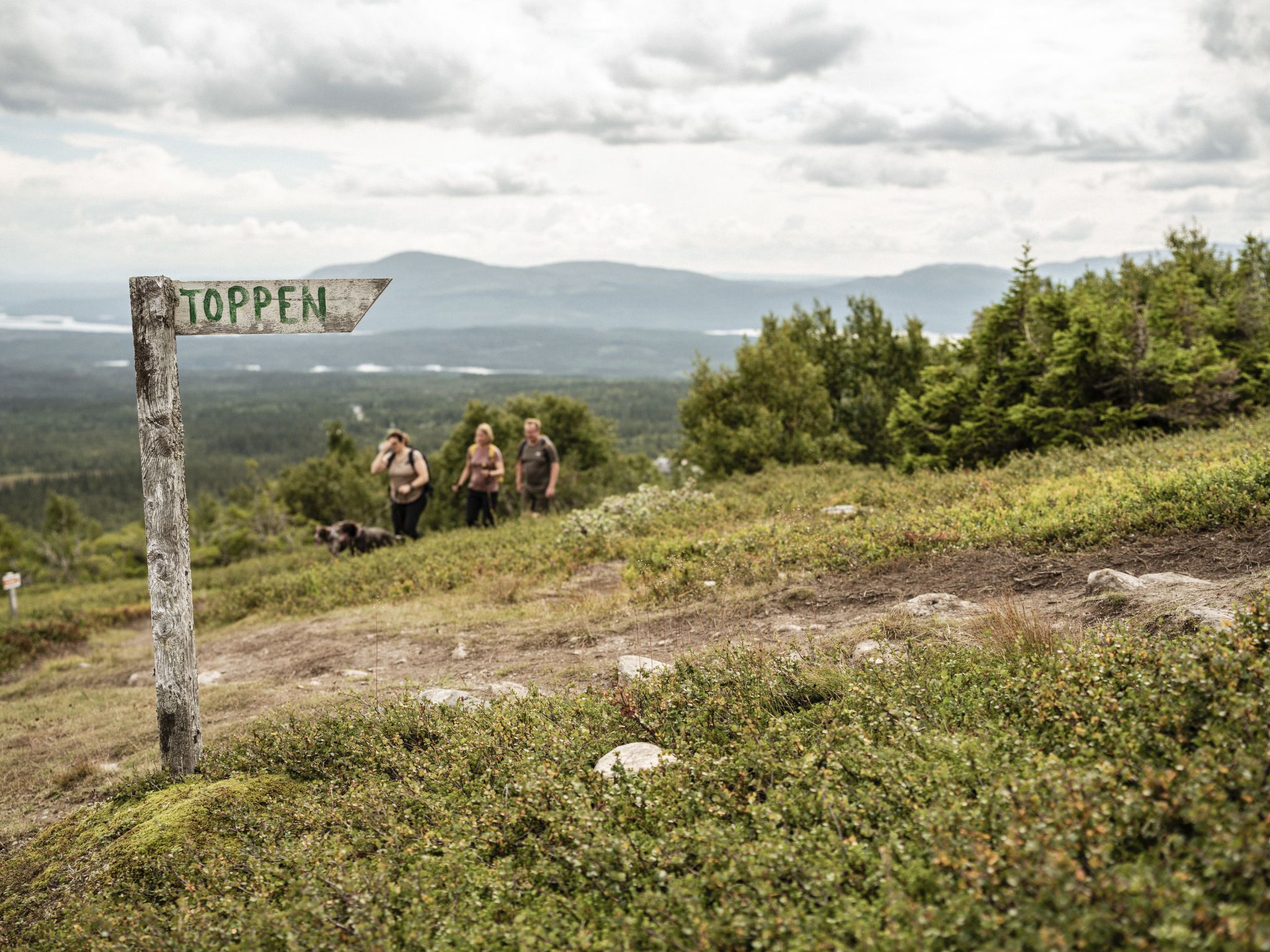 A wooden signpost with the word "TOPPEN" pointing to a mountainous landscape with hikers and a dog.
