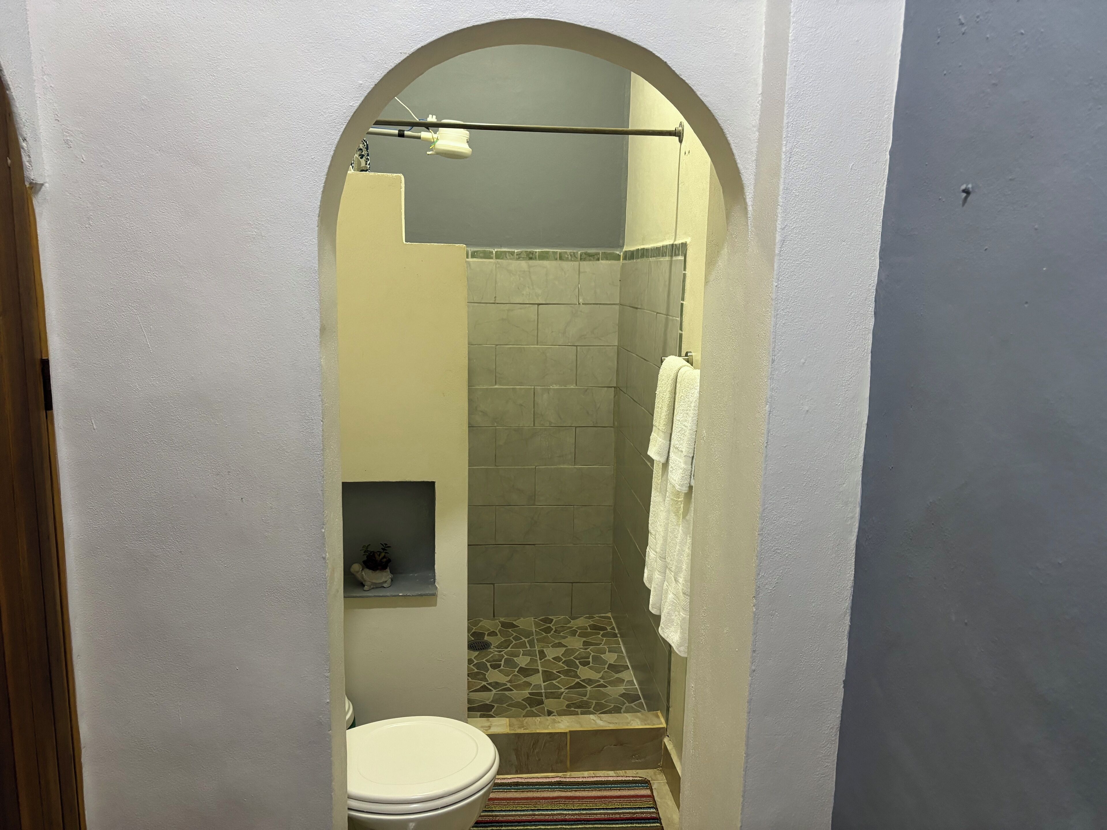 A small bathroom with a shower, a toilet, and a shelf with a small decorative item.