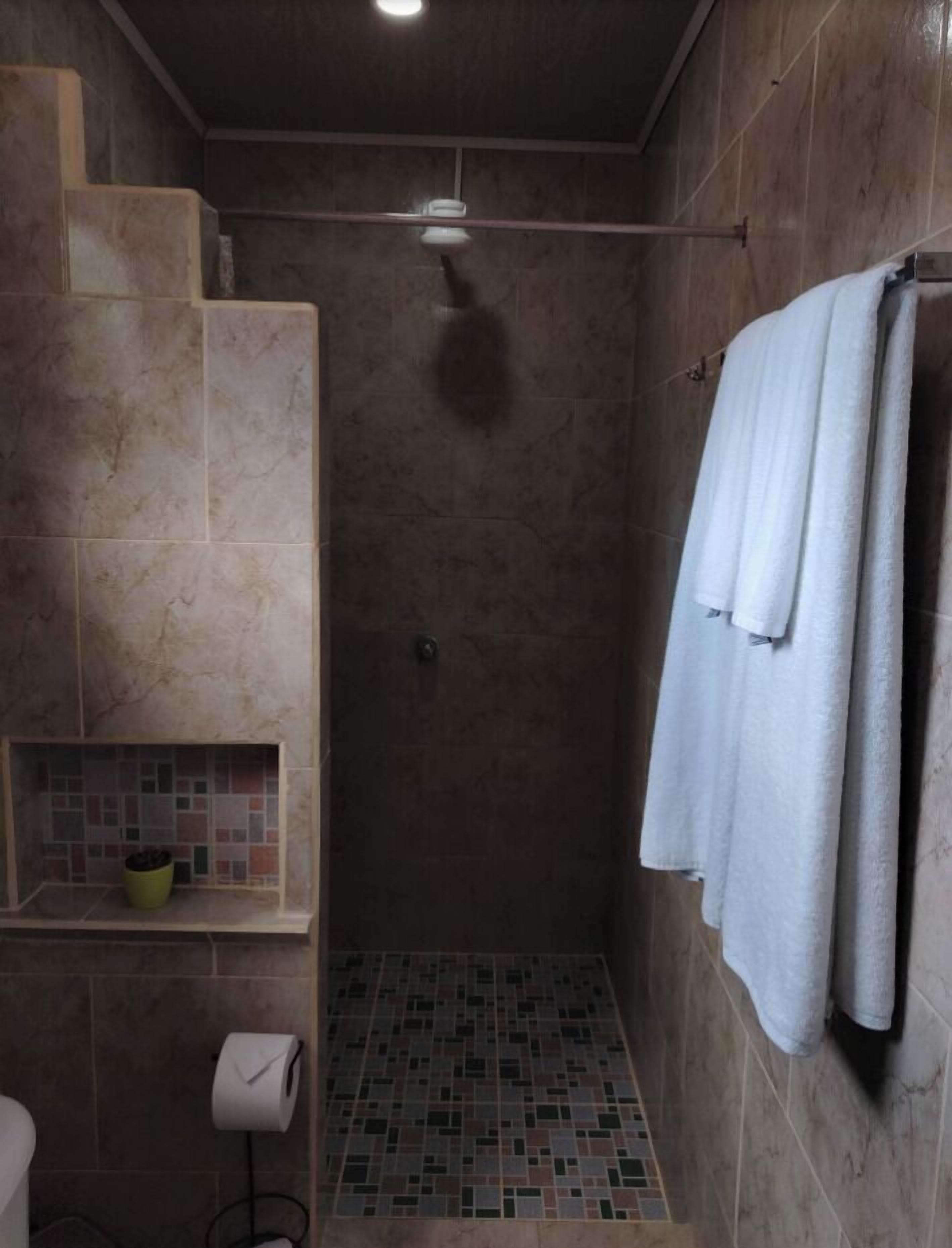 A small, tiled shower area with a towel rack and a shelf with a potted plant.