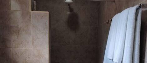 A small, tiled shower area with a towel rack and a shelf with a potted plant.
