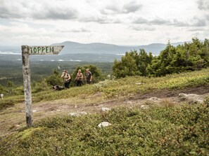Un cartel de madera con la palabra "TOPPEN" indicando un paisaje montañoso con excursionistas y un perro.
