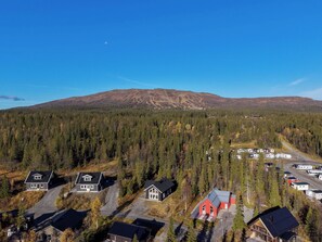 A residential area with houses, a forest, and a mountain in the background.