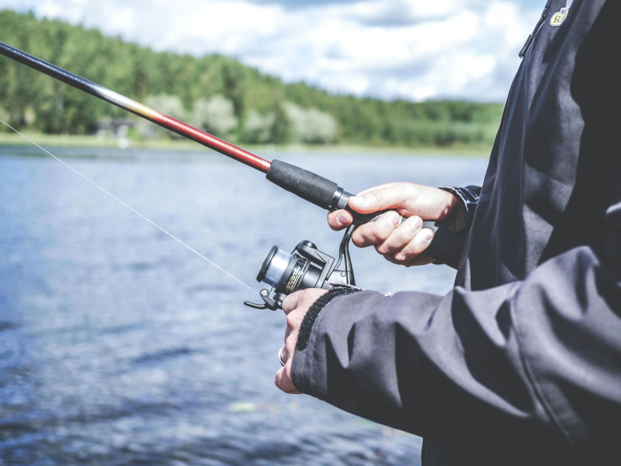 A person holding a fishing rod over a body of water with a forested landscape in the background.