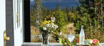 Trillevallen Fjällripan by Interhome