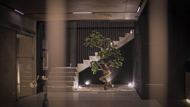 A modern interior with a staircase, a bonsai tree, and a minimalist design. - Yamato Hostel (Pasay)