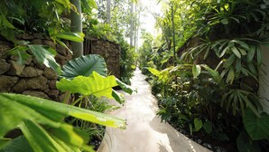 Un camí de formigó estret delimitat per vegetació tropical exuberant i una paret de pedra.