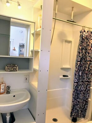 Shower, hair dryer, bidet, towels
