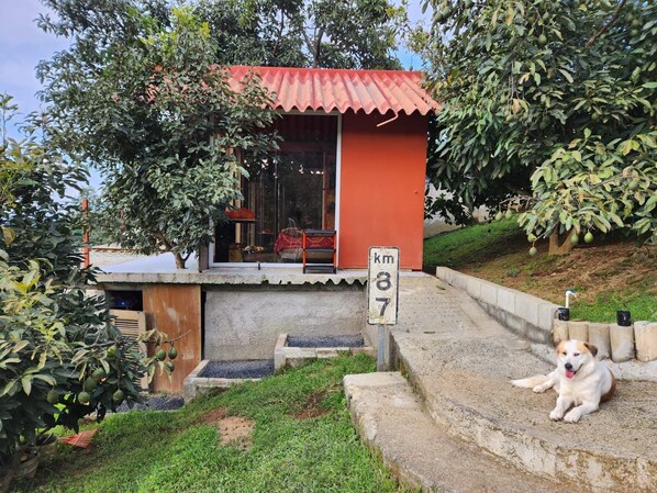 المنشأة من الخارج