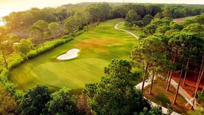 Ein Golfplatz mit gepflegter Spielbahn, Sandbunkern und einem bewaldeten Bereich.