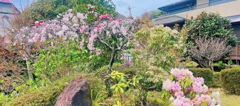 1 night for 12 people with natural hot spring inc / Ito Shizuoka