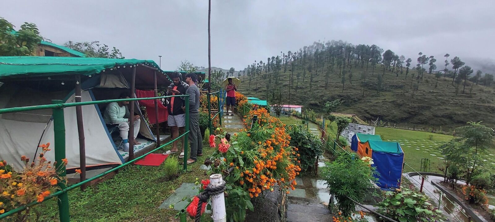 A tented accommodation area with a view of a terraced hillside.