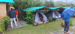 Pemandangan dari properti