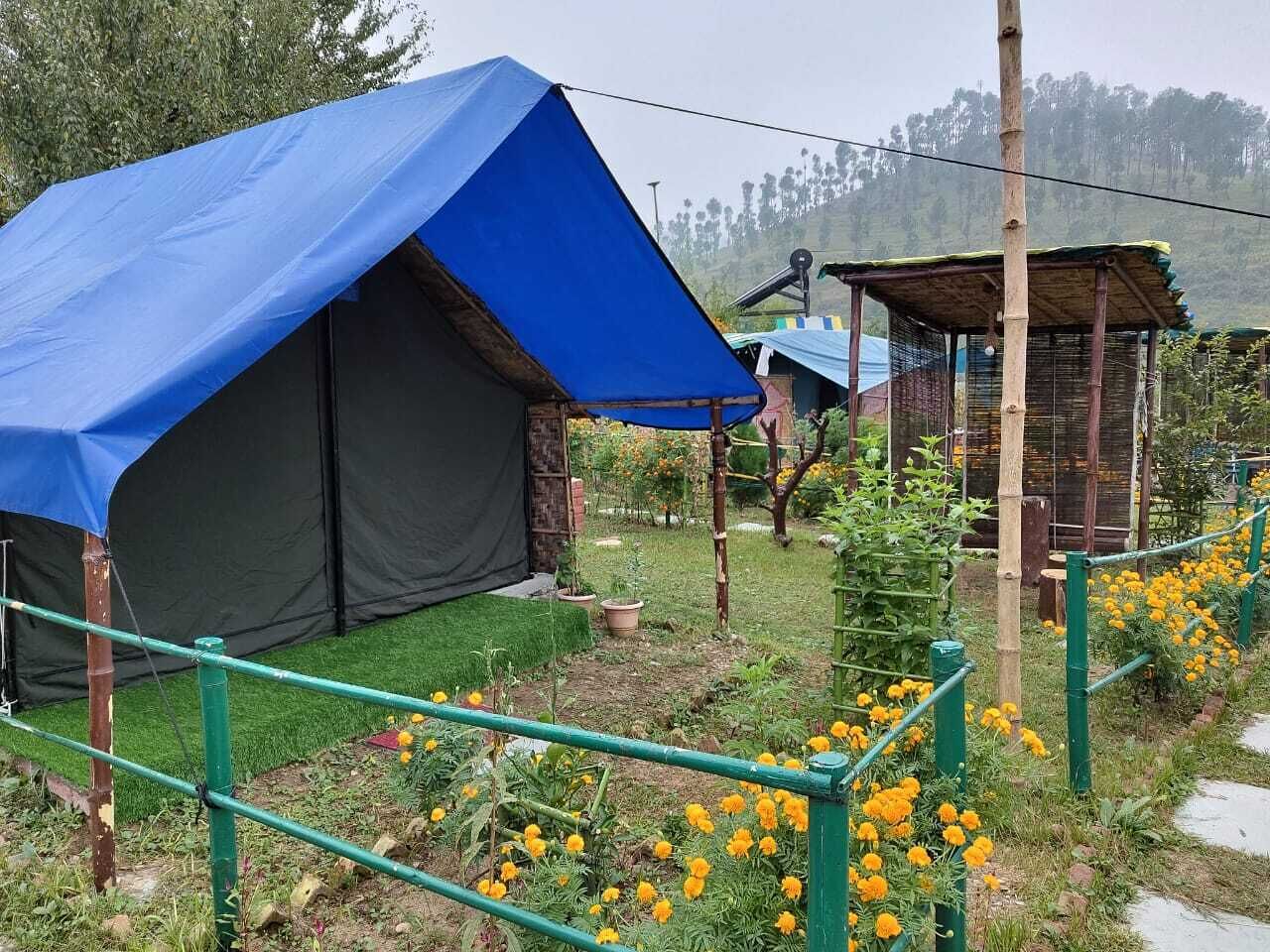 A campsite with tents and a small wooden structure.