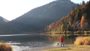 Eine Person und ein Hund am Ufer eines ruhigen Sees mit Bergen im Hintergrund.