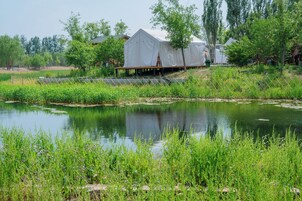 Outdoor wedding area