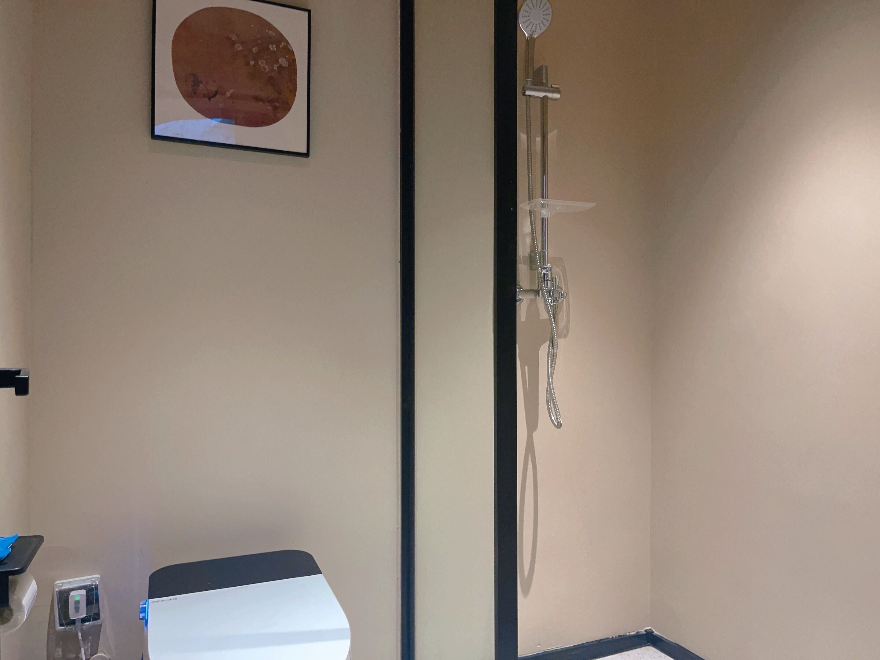 A bathroom with a shower, a toilet, and a framed picture on the wall.