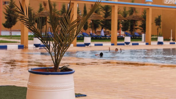 A potted plant in the foreground with a pool and lounge area in the background. - Palmiers Hôtel Club (Errachidia)