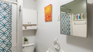 Shower, hair dryer, bidet, towels