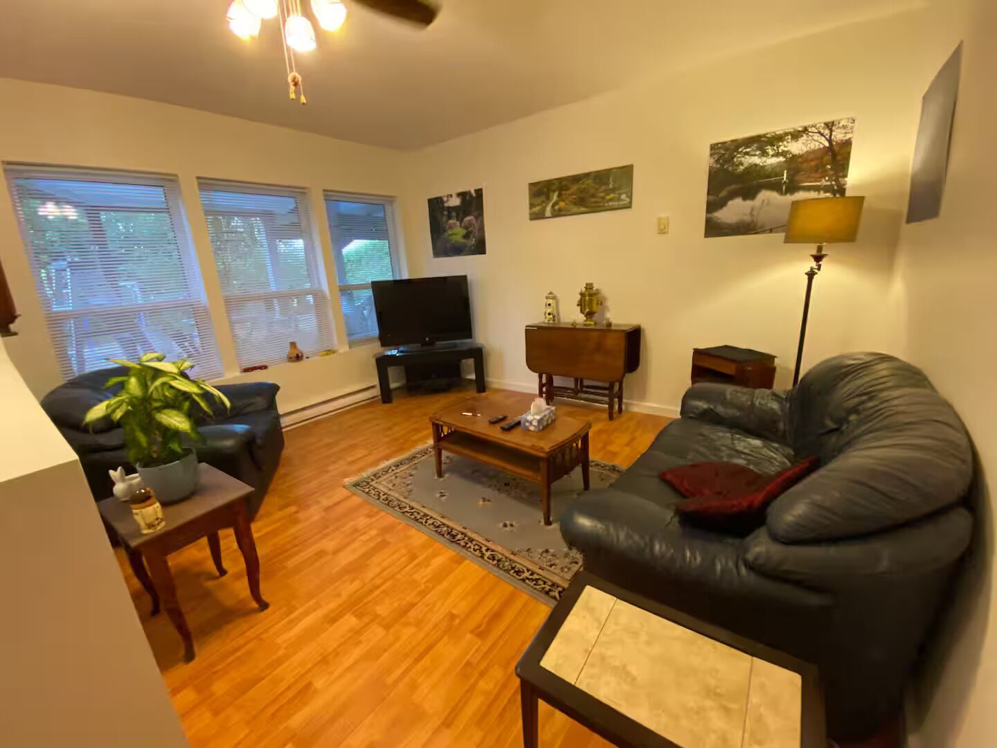 A living room with a black leather sofa, a wooden coffee table, a TV on a stand, and a potted plant.