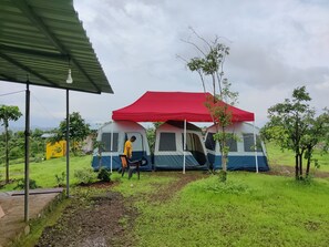 Standard Tent, Mountain View