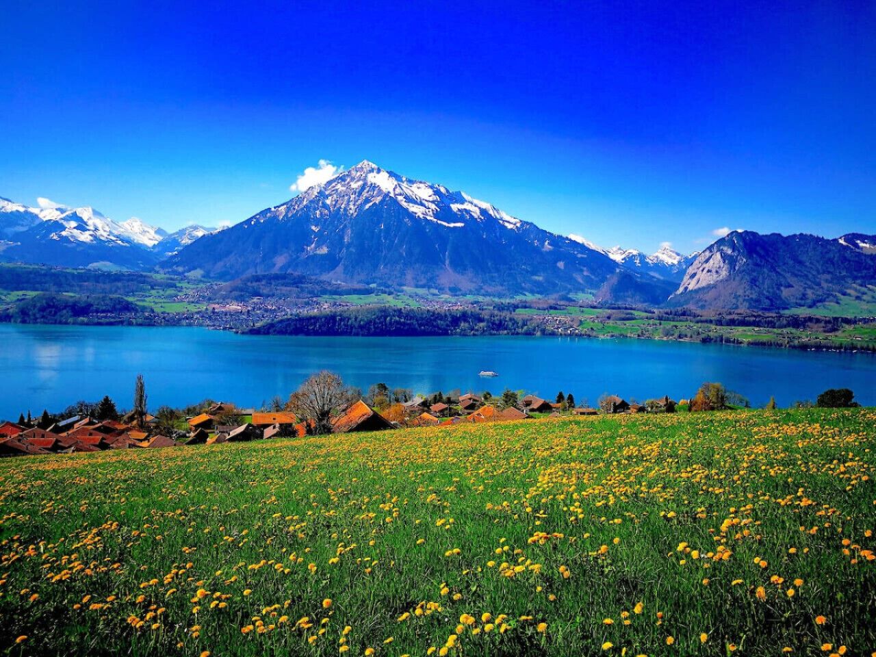 Un paysage montagneux avec un lac et un champ de fleurs jaunes au premier plan.