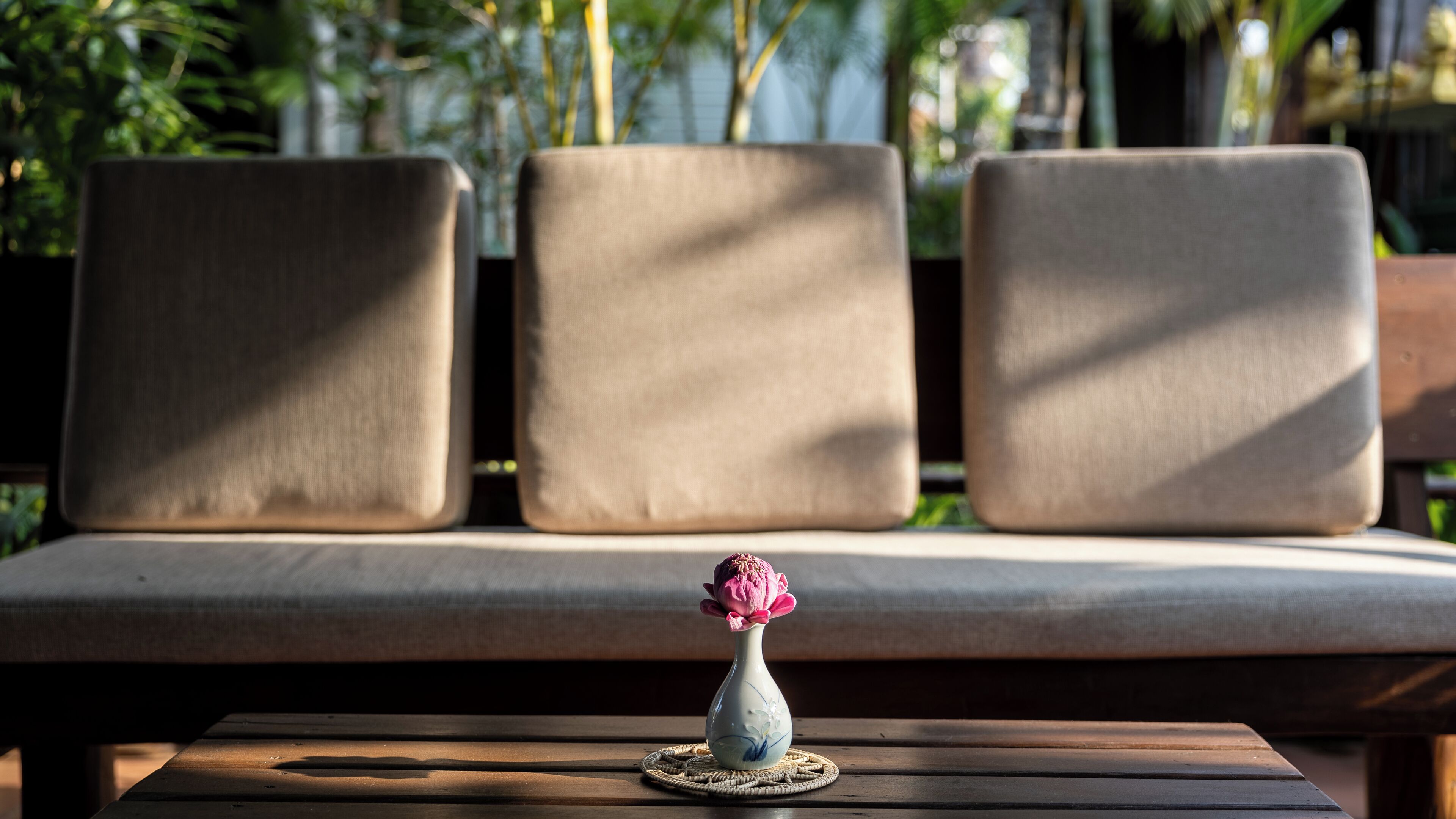 A sofa with three back cushions and a small vase with a pink flower on a wooden table.