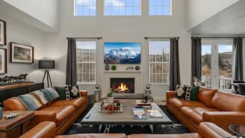 Télévision, cheminée, livres, espaces bureaux