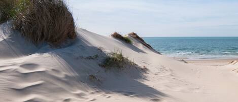 House | Beach