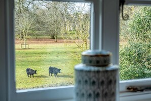 A view through a window of a grassy field with two cows, a metal structure, and trees in the background. - Park Cottage (Glaston)