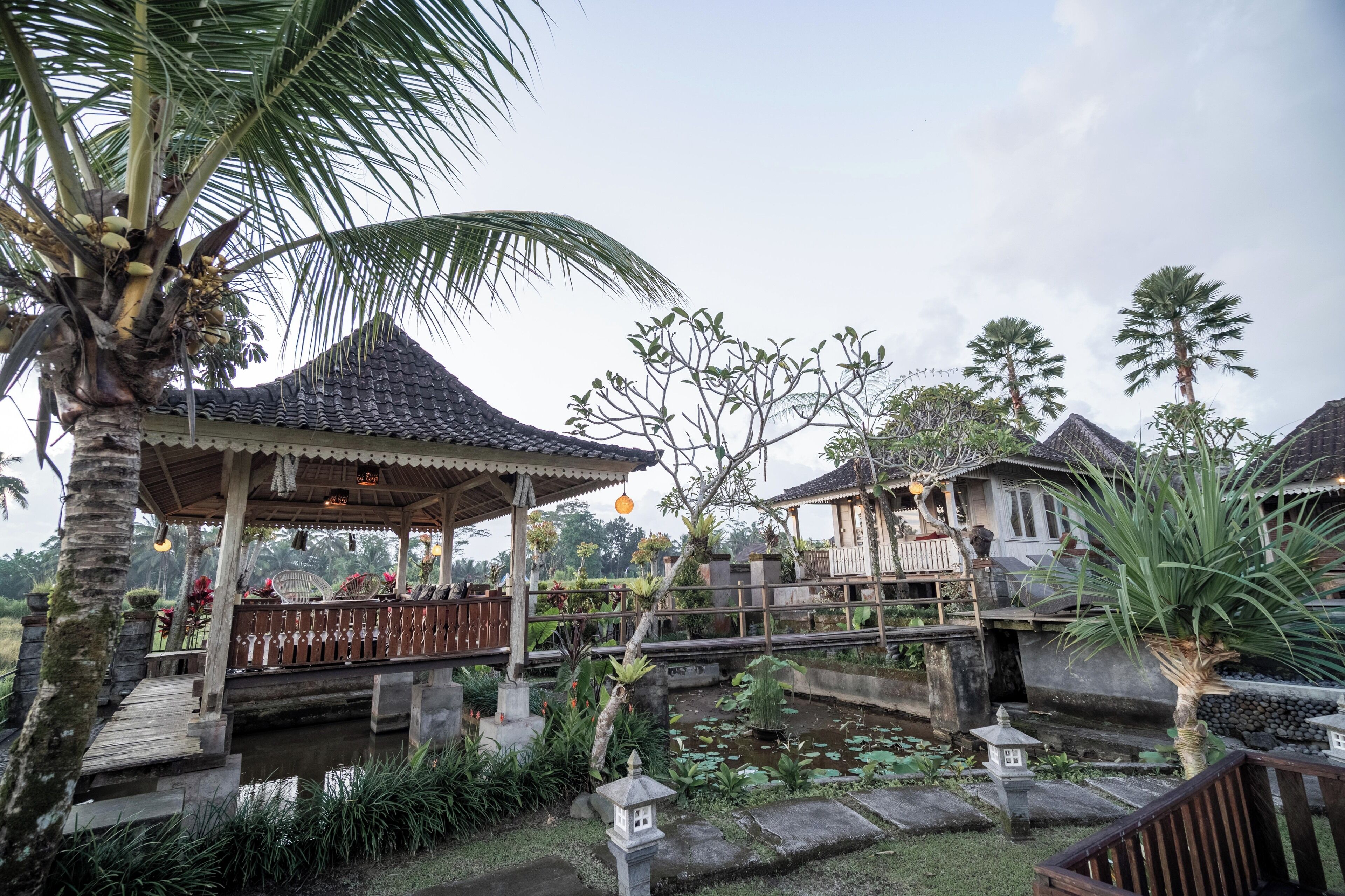 A traditional wooden pavilion with a tiled roof, a small bridge, and a pond with water lilies.
