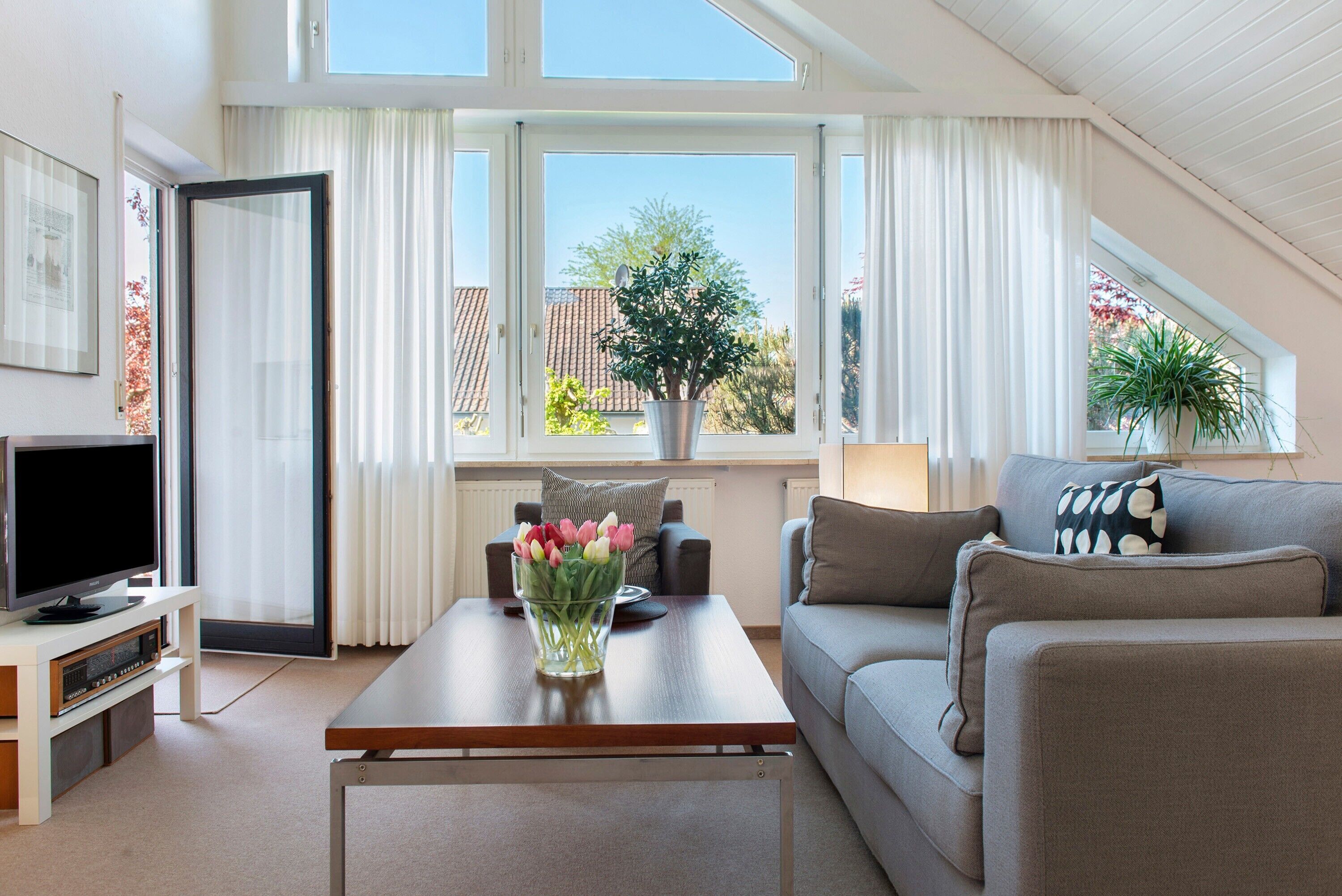 Televisión, mesa de ping pong